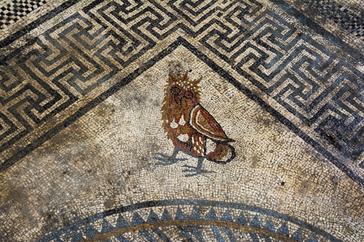 DrJEBall's tweet photo. A #Roman #mosaic uncovered in Uzès (France), probably the ancient city of Utecia, an early-occupied Gallo-Roman settlement, probably on the site of an oppidum. The mosaic dates to the C1st AD &amp; depicts several birds (eagle, owl, duck) &amp; a fawn.

#MosaicMonday https://t.co/qG4rzOsOU8