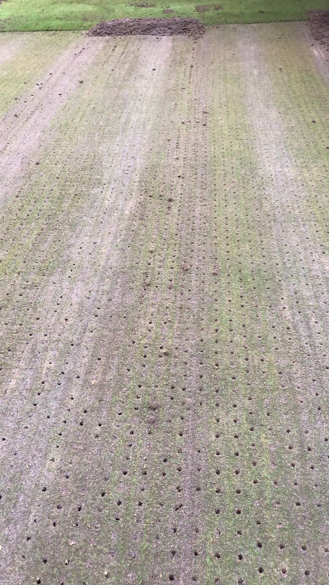 The last week to be holey until July.  These greens really needed it!