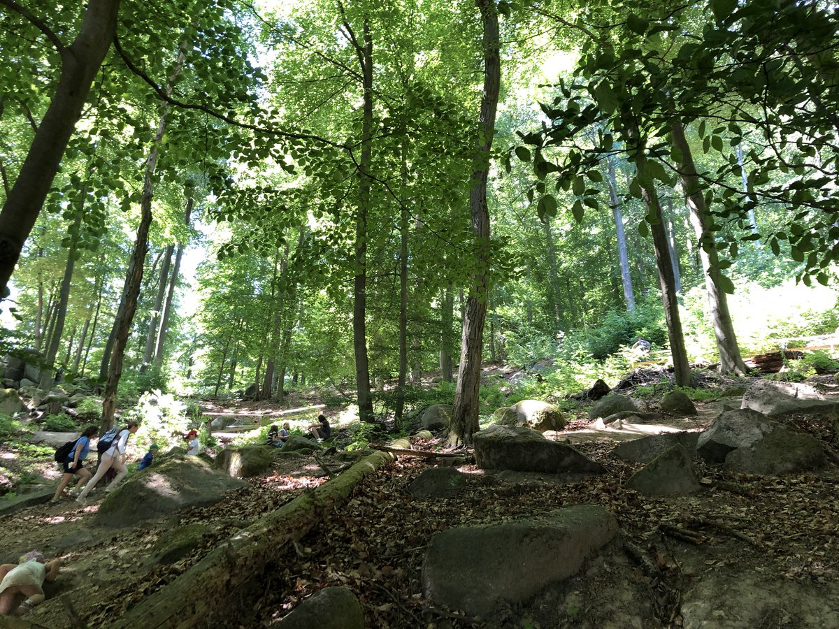 Tenguella_Ly's tweet photo. #deconfining in the 🌳🌳🌳🌳🌳 #outdoor #hessen #odenwald #felsenmeer https://t.co/zUuIt2G0iR