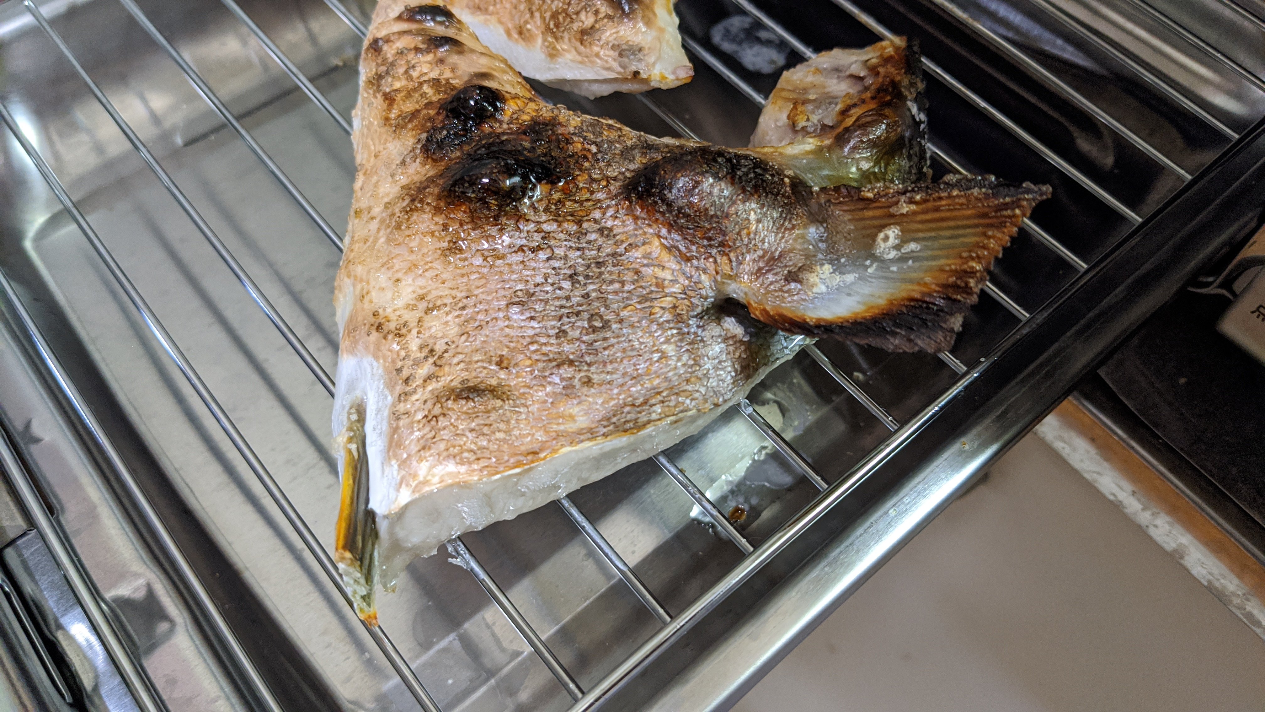 T Furu ヒラマサ カマ塩焼き ふるさと納税 した 鹿児島 錦江町 T Co 3lp2cbsv4d Twitter