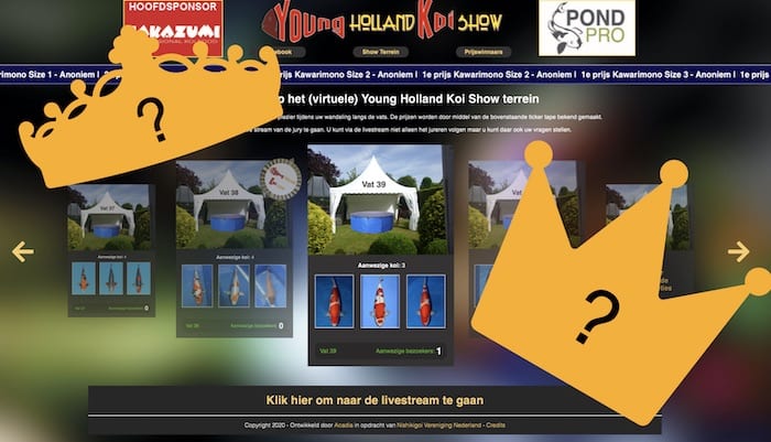 KoiQuestion's tweet image. Top 10 Grand Champion kanshebbers Young Holland Koi Show 2020 - koiquestion.com/2020/06/01/top… |young holland koi show