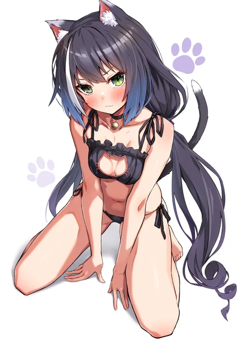 猫キャル 