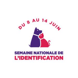 Otherwise tweet media