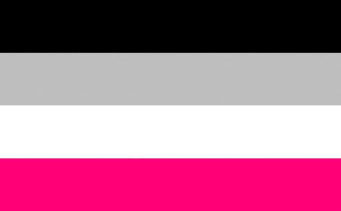 27. gynephilia flag- represents people who are attracted to women and/or femininity