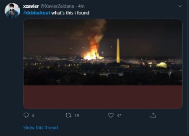 Booboo the Cool tweet media