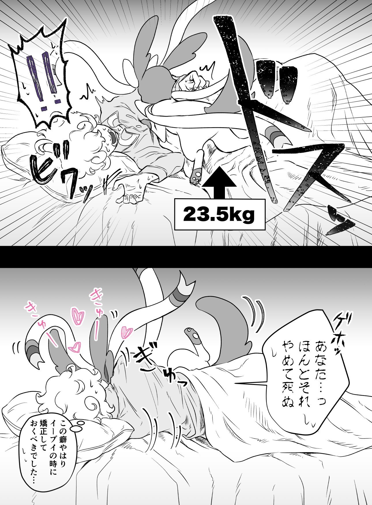 阪井里旨 犬猫って飼い主がこれから寝るぞって時に限ってすごく元気になるよね というニンフィアとビートのイチャイチャ 阪井里旨 犬猫って飼い主がこれから寝るぞって時に限ってすごく元気になるよね というニンフィアとビートのイチャイチャ