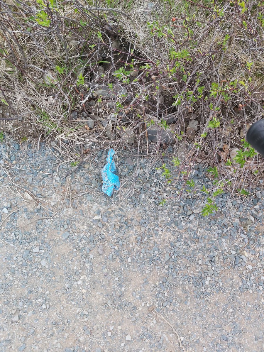 007butthead's tweet image. If your going to pick up after you dog ,then at least walk the extra 50ft and put it in the trash bin.
Manuel's River Trail. @TownofCBS 
#WearAMask #WashYourHands #SelfDistancing