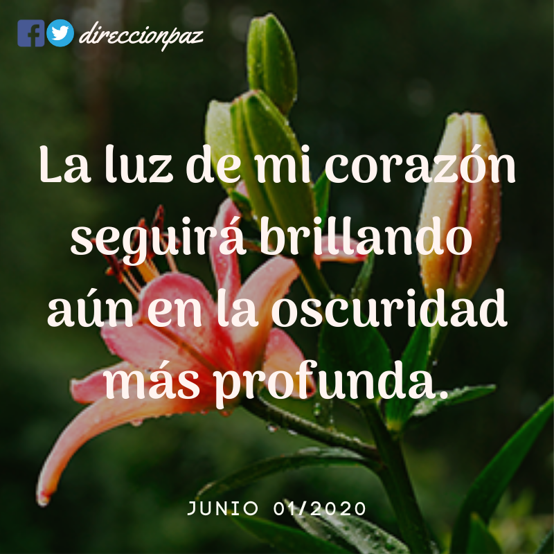 DireccionPaz's tweet photo. Seguirá brillando... 🙂❤️ https://t.co/TTxGGghTB2