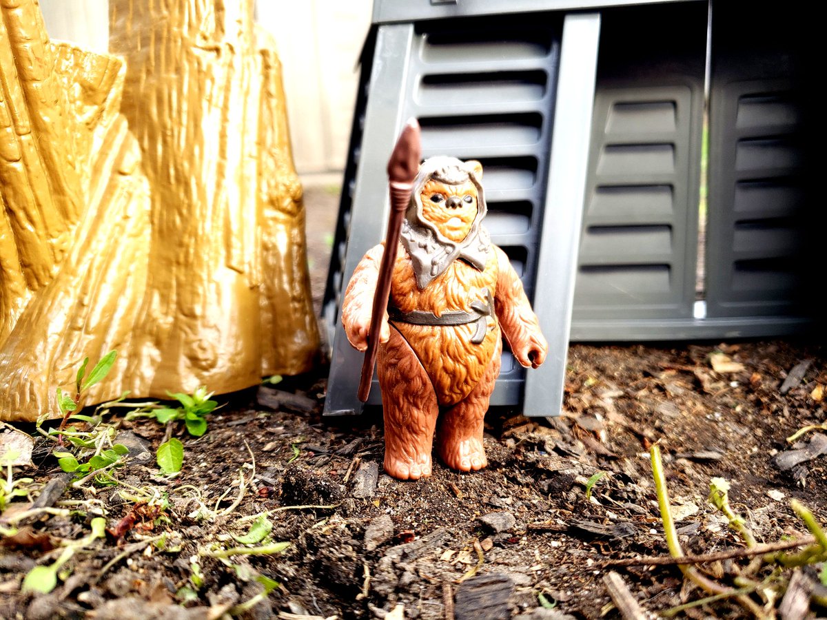 today's #vintagetoys #FigureoftheDay post is Romba from the '85 Kenner toys Power of the Force line. accordingto Wookieepedia, Romba's village was burned to the ground by the Empire while they constructed the bunker housing the shield generator for the 2nd Death Star. https://t.co/H5FR64b3xe