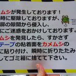 一部の地域でカメムシが大発生!いざという時のために、この駆除方法を知っておくと良いかも？