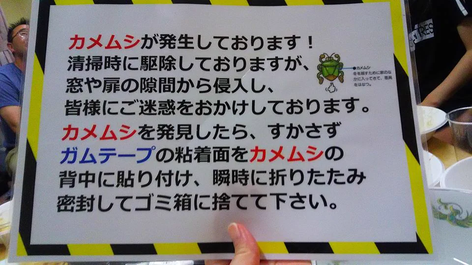 一部の地域でカメムシが大発生！いざという時のために、この駆除方法を知っておくと良いかも？