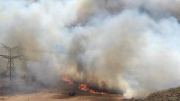 عرض الصورة على تويتر