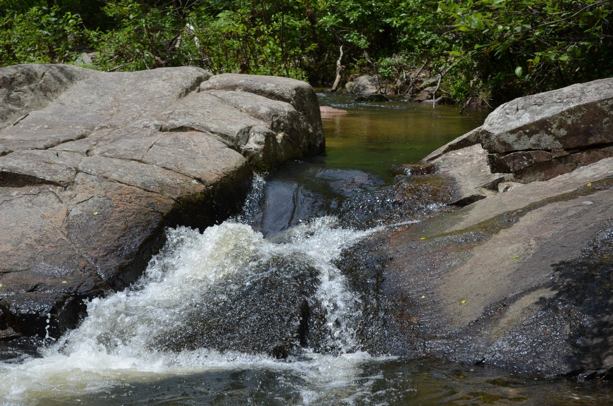 Happy Trails Hiking (@happytrailshike) on Twitter photo June is #NationalCampingMonth
For #MidwestMondayChat Let's see those great Midwest Campgrounds and Parks! This one is Hawn State Park in <a href="/mostateparks/">Missouri State Parks</a>
<a href="/JodyHalsted/">Jody Halsted</a> @Operation40K <a href="/TravelWithSara/">Travel With Sara - Sara Broers</a> <a href="/OpenWideTheWrld/">OpenWideTheWorld</a> <a href="/marty_our/">Marty's Crew: Our Family Adventures</a> <a href="/MinivanAdv/">April | Minivan Adventures</a> <a href="/fieldsandheels/">Cornfields & High Heels</a> <a href="/BTFLBadlandsND/">Beautiful Badlands ND</a> June is #NationalCampingMonth
For #MidwestMondayChat Let's see those great Midwest Campgrounds and Parks! This one is Hawn State Park in <a href="/mostateparks/">Missouri State Parks</a>
<a href="/JodyHalsted/">Jody Halsted</a> @Operation40K <a href="/TravelWithSara/">Travel With Sara - Sara Broers</a> <a href="/OpenWideTheWrld/">OpenWideTheWorld</a> <a href="/marty_our/">Marty's Crew: Our Family Adventures</a> <a href="/MinivanAdv/">April | Minivan Adventures</a> <a href="/fieldsandheels/">Cornfields & High Heels</a> <a href="/BTFLBadlandsND/">Beautiful Badlands ND</a>