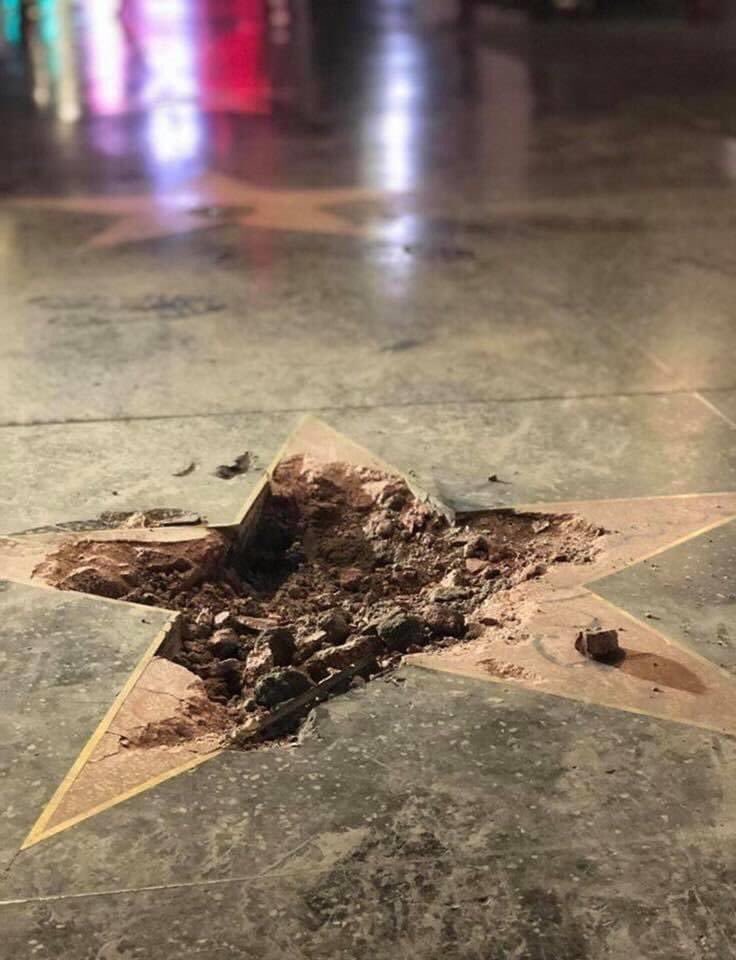 El resultado de las revelaciones de #Anonymous sobre <a href="/realDonaldTrump/">Donald J. Trump</a>. En Hollywood la estrella con su nombre terminó así. 

Está claro porque se esconde en la #CasaBlanca, en su búnker. Me recuerda a alguien que voló a esconderse a Guayaquil, con protección de los Bucaram.