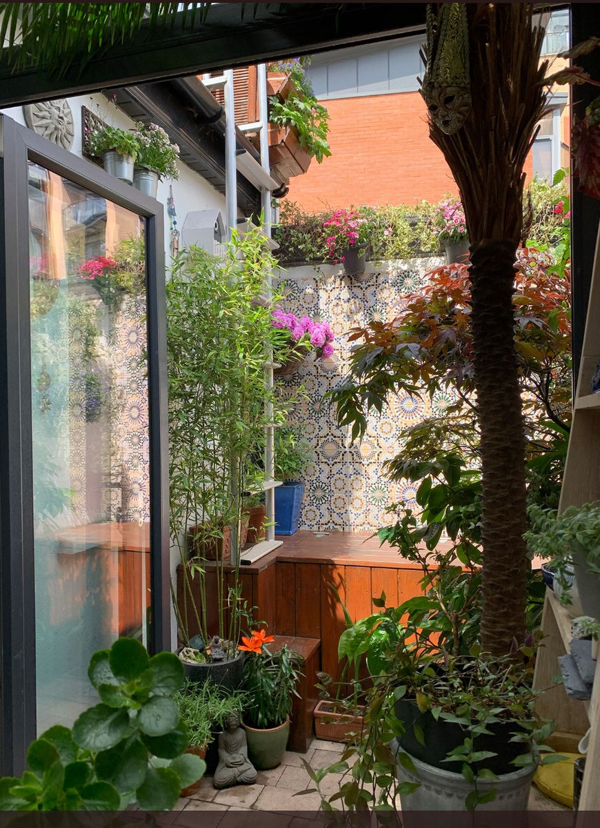rte's tweet photo. “Judges’ Favourite Garden” the winner also is ...

Congrats @justinedoswell in Dublin 8. There's a €250 @GroMorIreland voucher on its way.

Gary Graham:
"A thoughtfully curated social space in the city, merging interior and exterior green-scaping"

#BloomwithRTE @BordBiaBloom https://t.co/7g2FoFdMLW