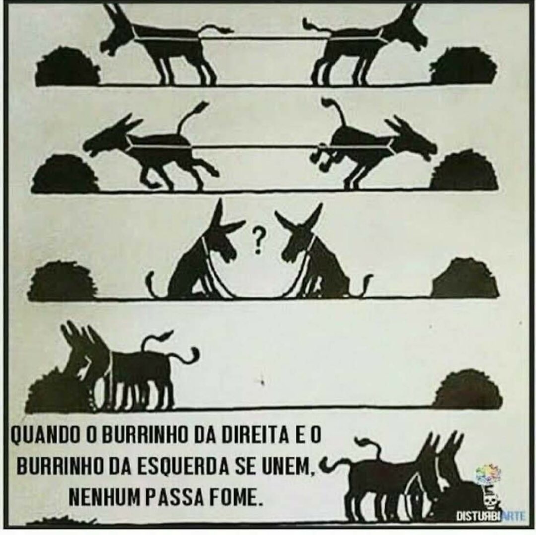 Essa aqui NÃO é Panc!! É o arrebenta cavalo, mata burro, gigoia