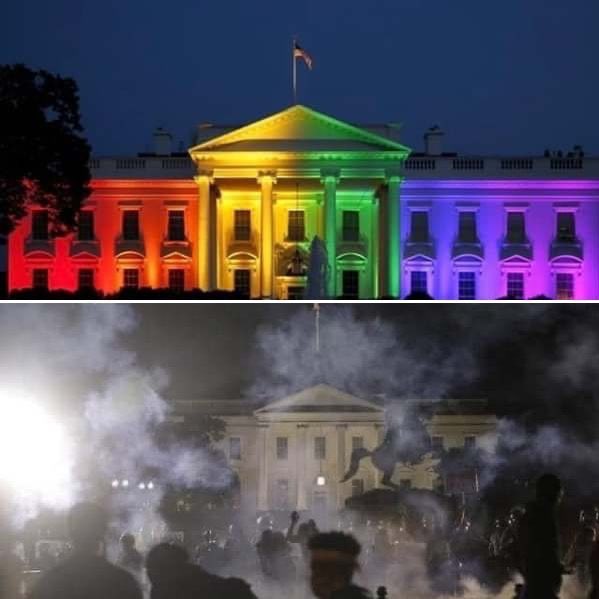 Fell ∆ tweet media