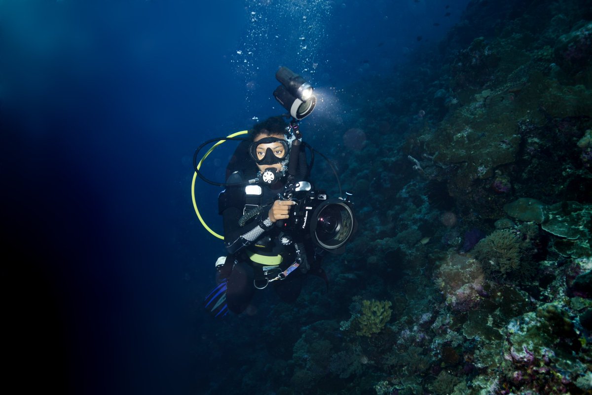 Inka Cresswell tweet media