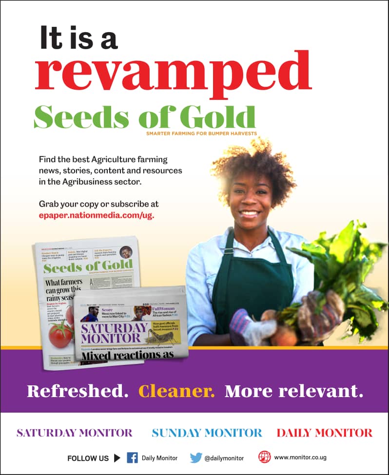 DailyMonitor's tweet photo. It's a revamped Seeds of Gold! Find information and news on the agribusiness sector in the paper today. #MonitorRevamped https://t.co/n6oRXLk2Ts
