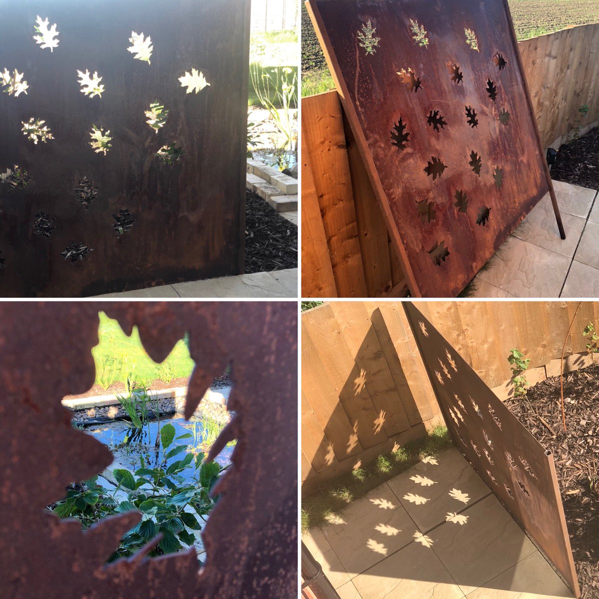 harryjamesmitch's tweet photo. An #art installation in the #garden doubling up as a bit of a wind break. Love the #oak #leaves #shadow  + #rusty #iron finish #GardensOfTwitter #Fens #Cambridgeshire #rustyrooster #GetsBetterWithAge https://t.co/Qu9VFEmDAr