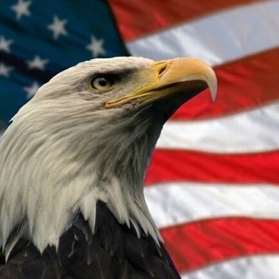 Cook4USHouse's tweet image. Now is the time to dust off those guns &amp;amp; unpack your ammo. In very short time you will be called upon to defend our country, neighborhoods &amp;amp; families. Patriots have been preparing for this but hoping we would never get the call. Antifa best get ready we will fight until the end.