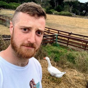 Callum Underwood 🔜 Bitsummit tweet media