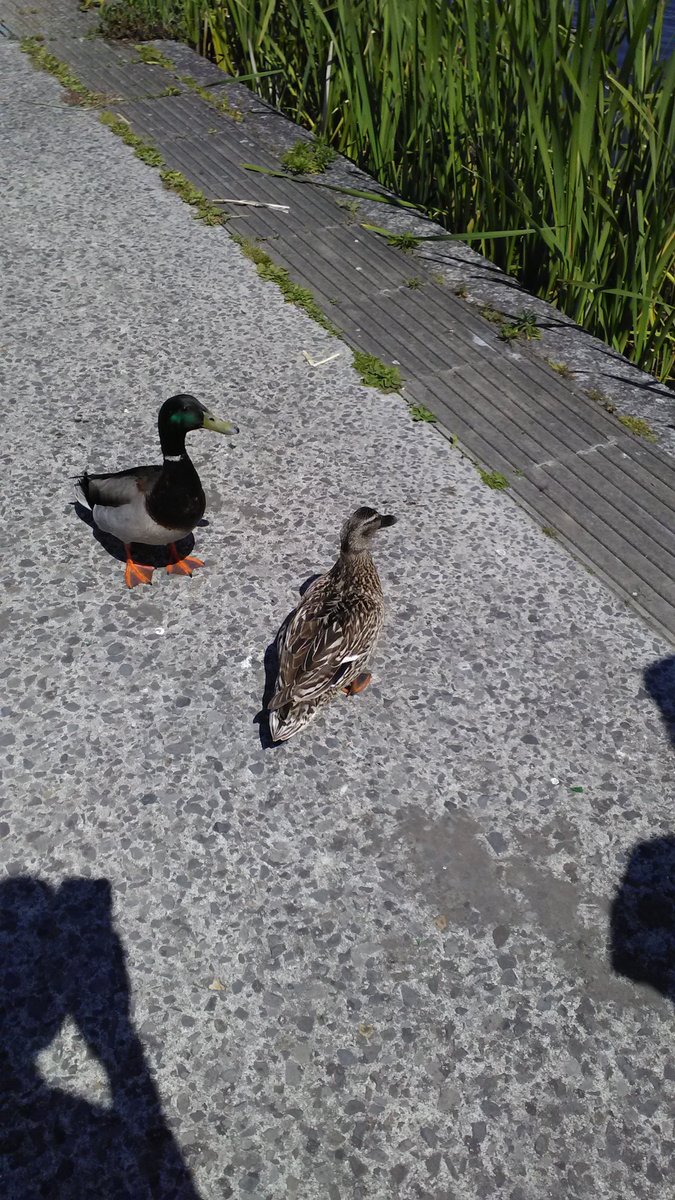 tick7's tweet image. At the park
Earlier