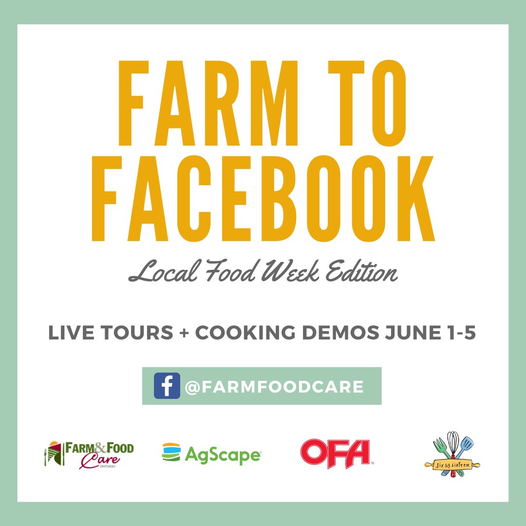 It's Local Food Week! Join the celebration with live cooking sessions, live farm tours, interactive activities and much more from June 1-7. For a daily schedule of events, visit: agscape.ca/event/local-fo… #loveONTfood #LocalFoodWeek @FarmFoodCareON  @SixbySixteen @OntarioFarms