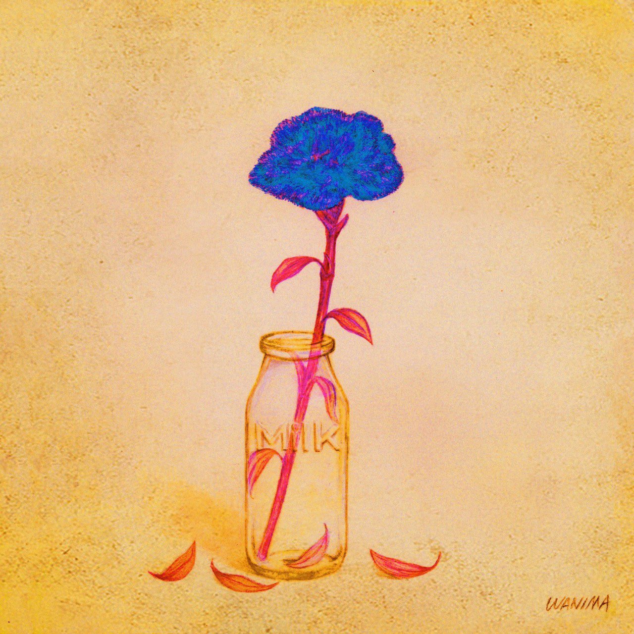 Rakumaʕ ᴥ ʔ En Twitter トルコキキョウかな 青のトルコキキョウの花言葉は あなたを想う Wanima Milk T Co 7y3lughxmj Twitter
