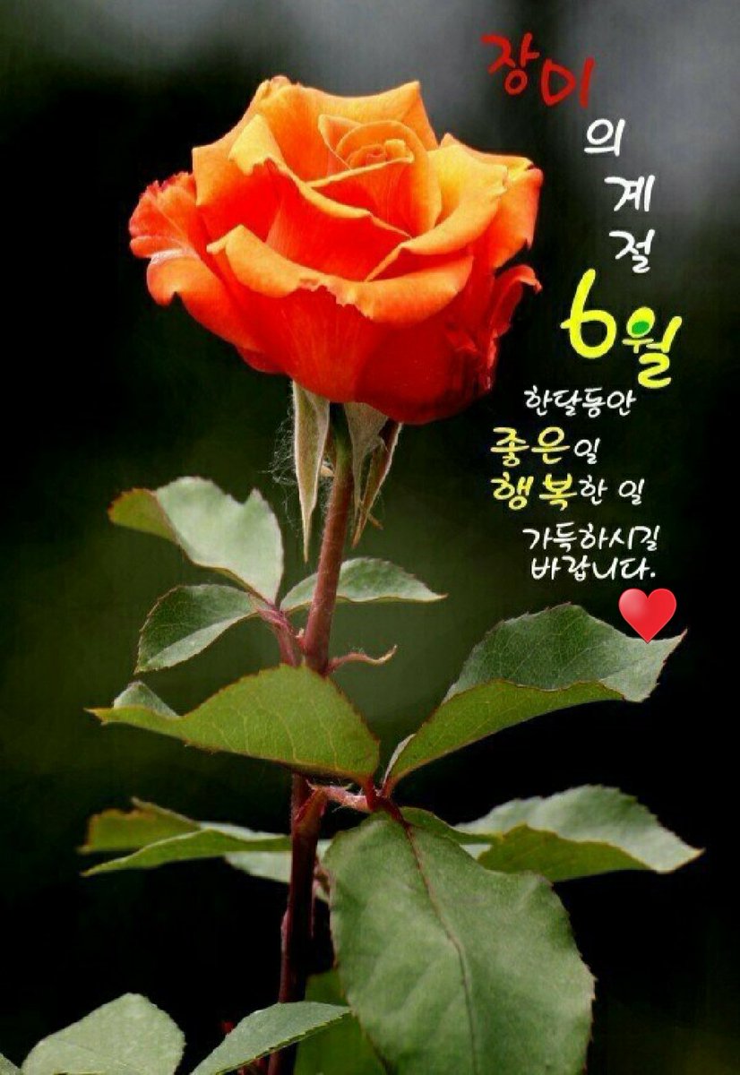 삶을 살아가는 기술의 90%는 여러분이 참아낼 수 있는 사람들과 잘 지내는 것이다.ᆢ사무엘 골드윈.// 소자 양 요한💗