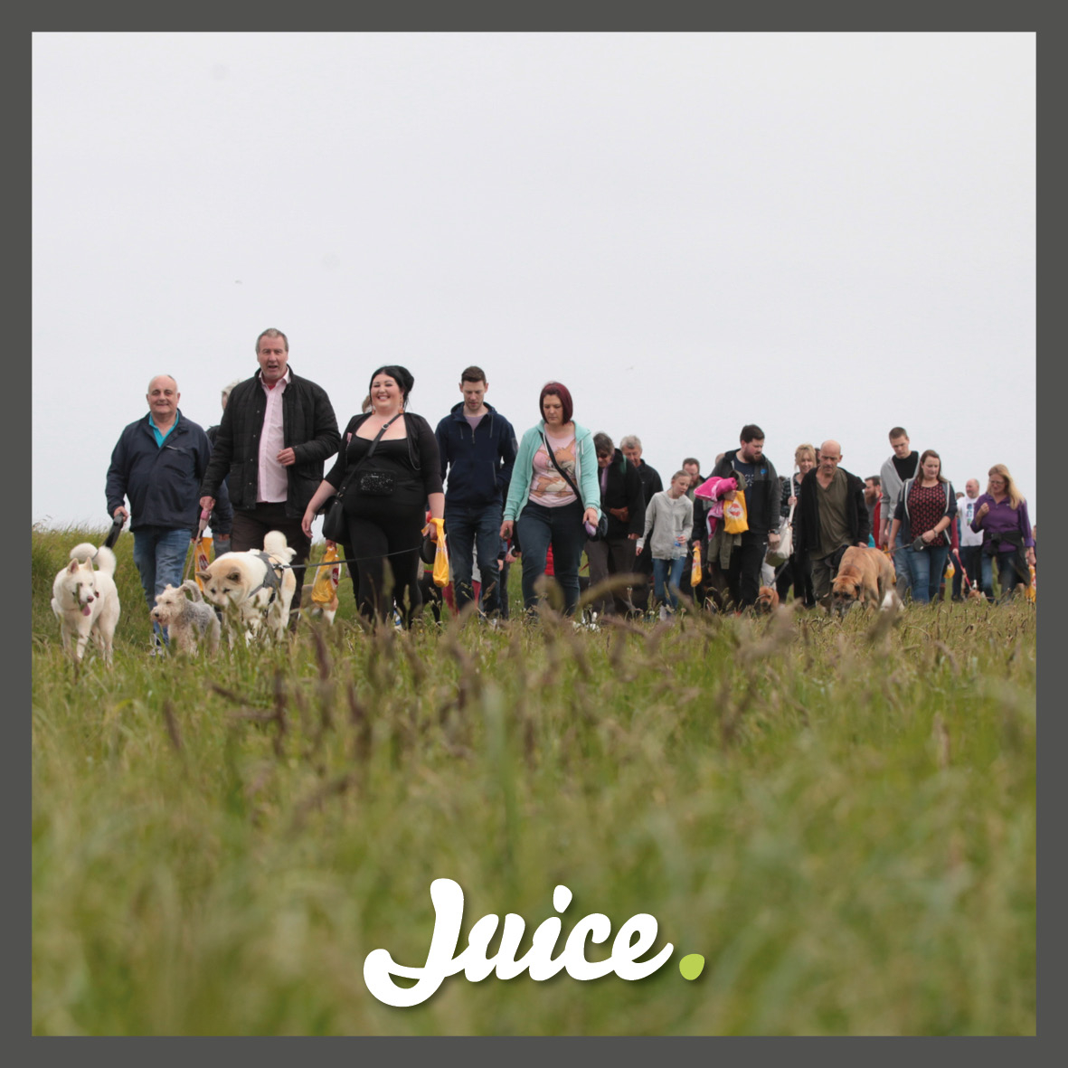 thatsjuice's tweet photo. The most un-socially distanced dog walk ever! 
Don't panic this was pre Covid-19. We worked for Pedigree who were the main sponsor to deliver "The World's biggest dog walk." 

Who else is loving that you can now meet a friend for a socially distanced walk? https://t.co/jMZyokVUnG