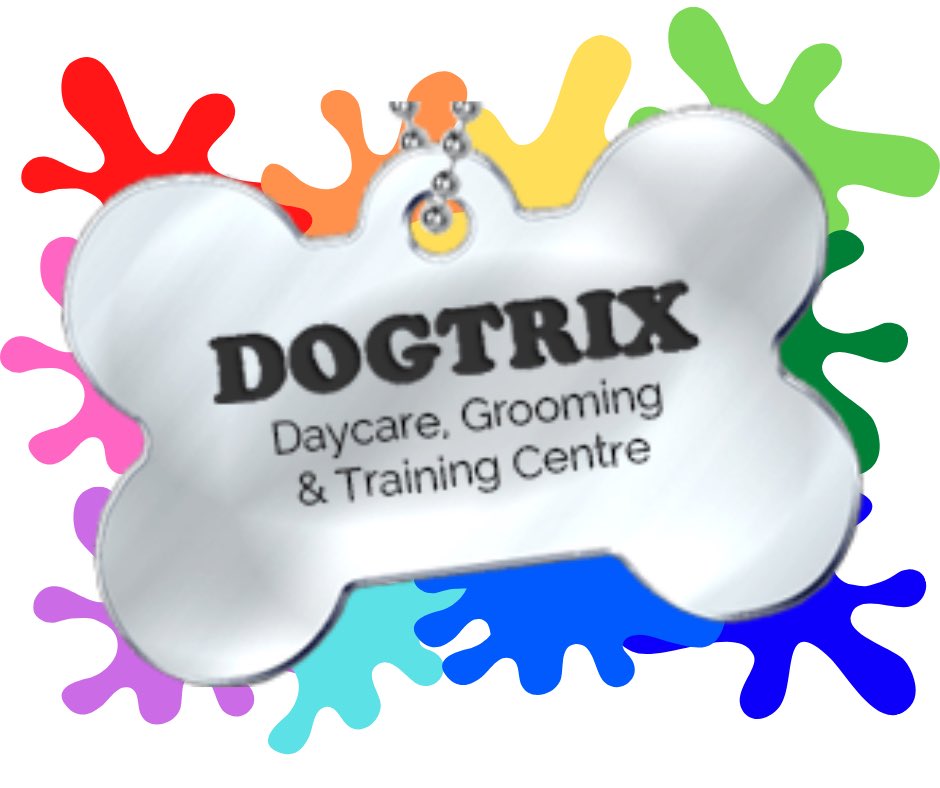 dogtrixinc's tweet photo. 🌈 Show your pride 🌈 Proud to be a part of #fortsaskprideweek 
Dogs love you for you ~ Be the person your dog knows you are       ❤️🧡💛💚💙💜🖤 

@fortsaskprideweek 

 #beproud #beyou #loveislove 
#lgbtq🌈  #pride2020 #lgbtqia #fortsask #dogtrix2020 https://t.co/TtYC2BJgnQ