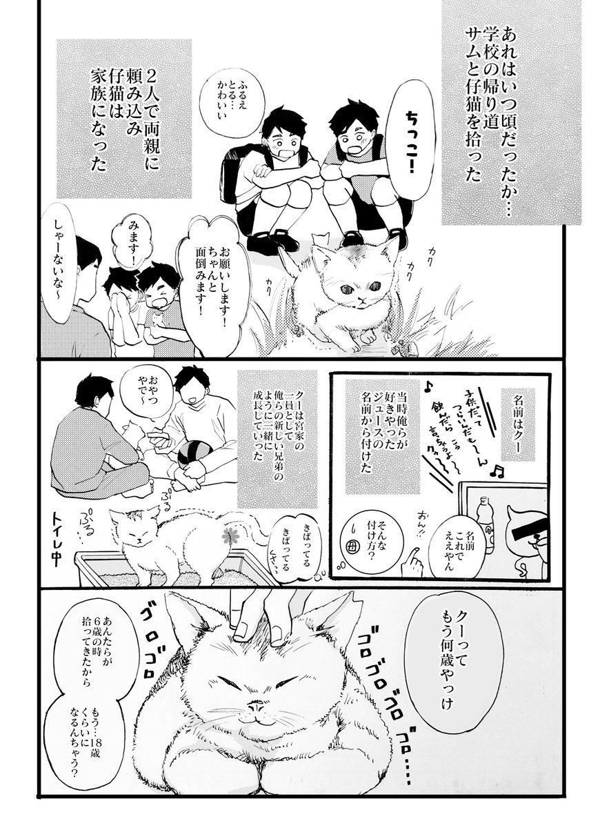 宮家の猫の話
⚠️宮兄弟ご両親捏造しています〜 