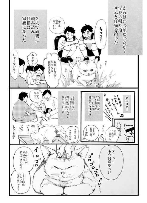 宮家の猫の話
⚠️宮兄弟ご両親捏造しています〜 