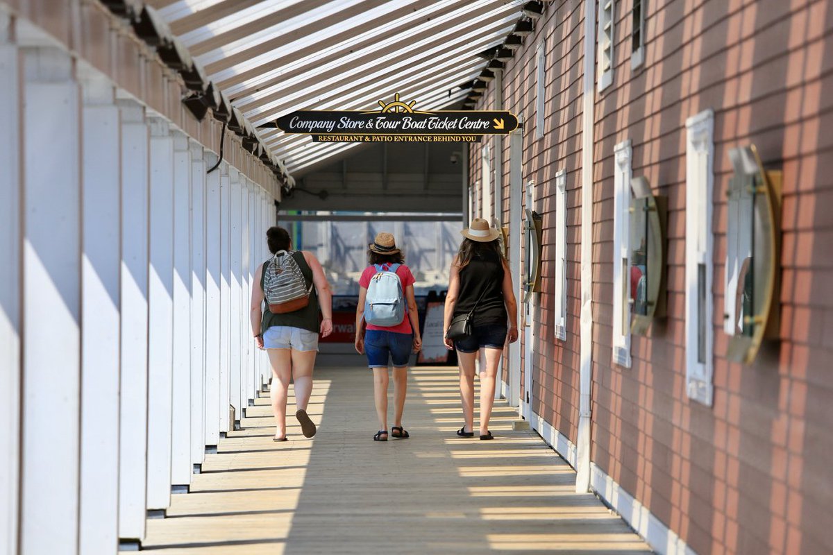 murphyshalifax tweet media