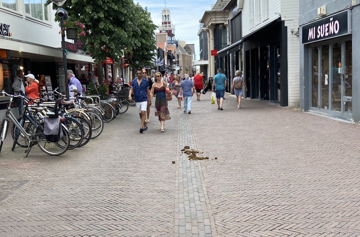 deFlitzer's tweet photo. @NoordwijkZH wie laat er op een drukke 2e pinksterdag 2paarden door de Hoofdstraat noordwijk lopen. En dan laten ze dit achter https://t.co/l3ScFtBW0H