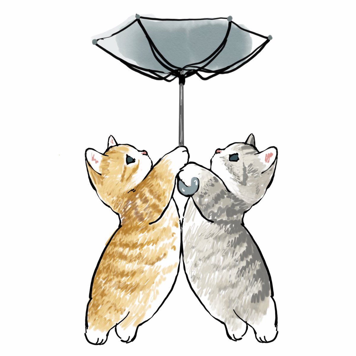 「相合傘☔︎ 」|ぢゅの🐈のイラスト