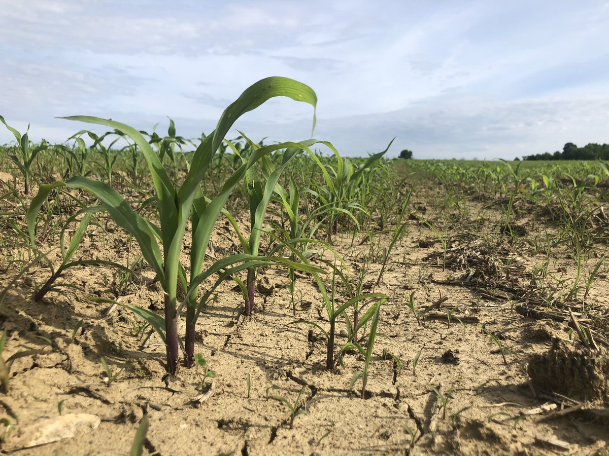 We made it!! Kicking off the virtual field day here shortly! Thanks for tuning in, we look forward to sharing the #powerofpink with you today. #Terrasym