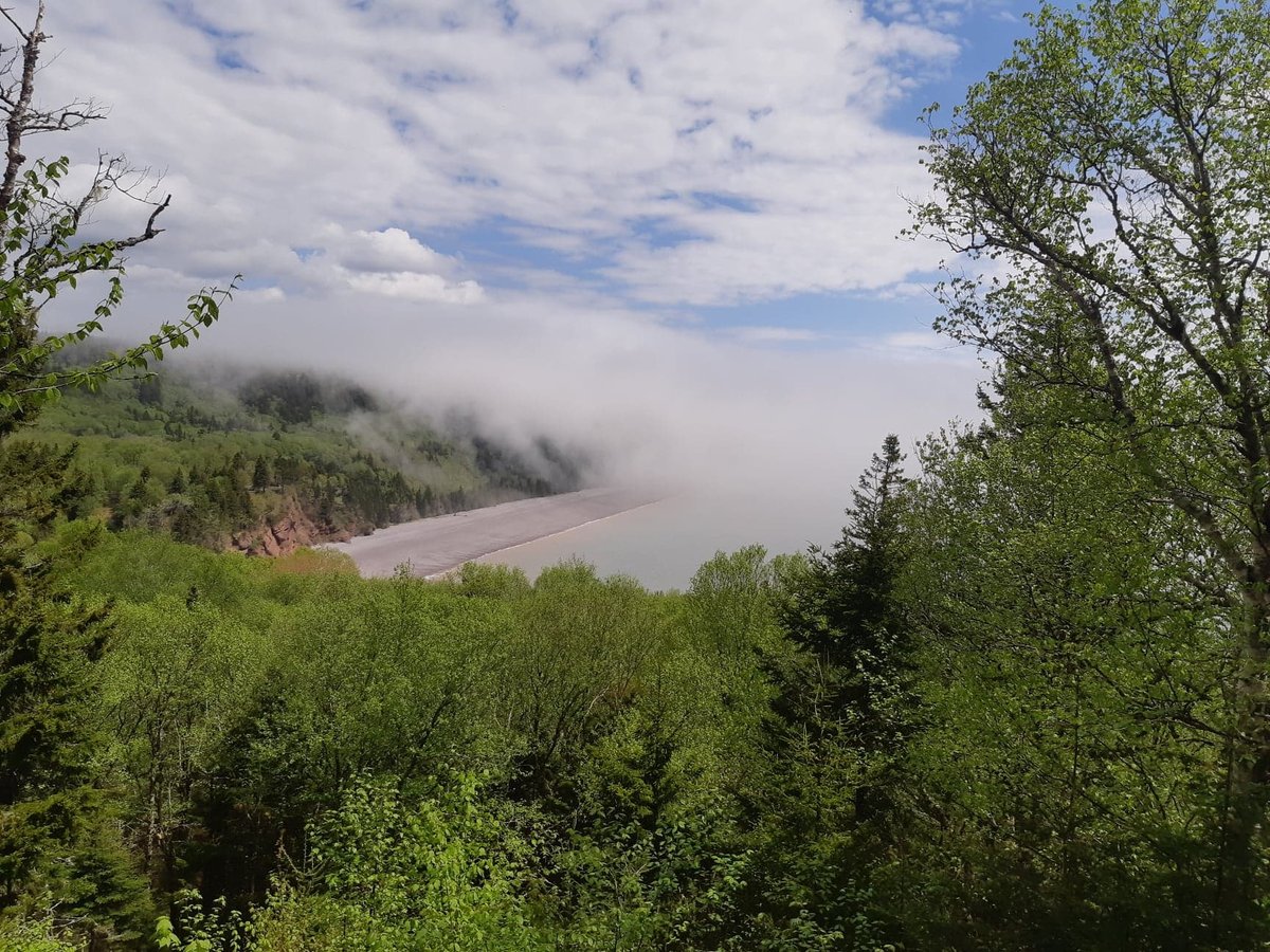 fundytrail's tweet photo. Season Pass sale extended for June! 
Purchase your Fundy Trail Season pass before the end of June to save 20%. Visit https://t.co/QpaolE4J7j or call (506) 833-2019 for more info! https://t.co/8DqoyfLmR0