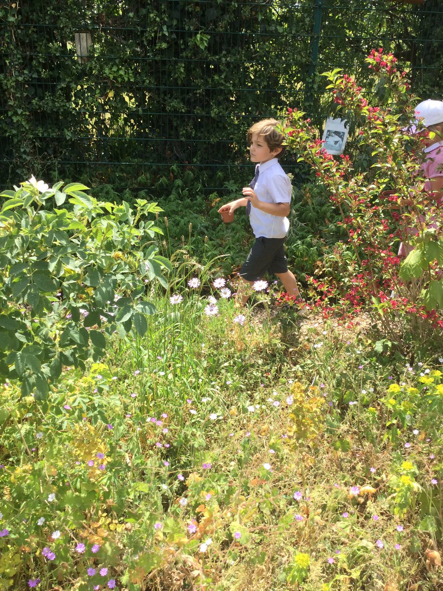 HTAClassWebster's tweet photo. We have had a great first morning back with our year 1 children today! We have planted seeds and made the most of the beautiful weather in eco land to help us understand why plants are so important! #HTAScience https://t.co/zF3ygeY4uf