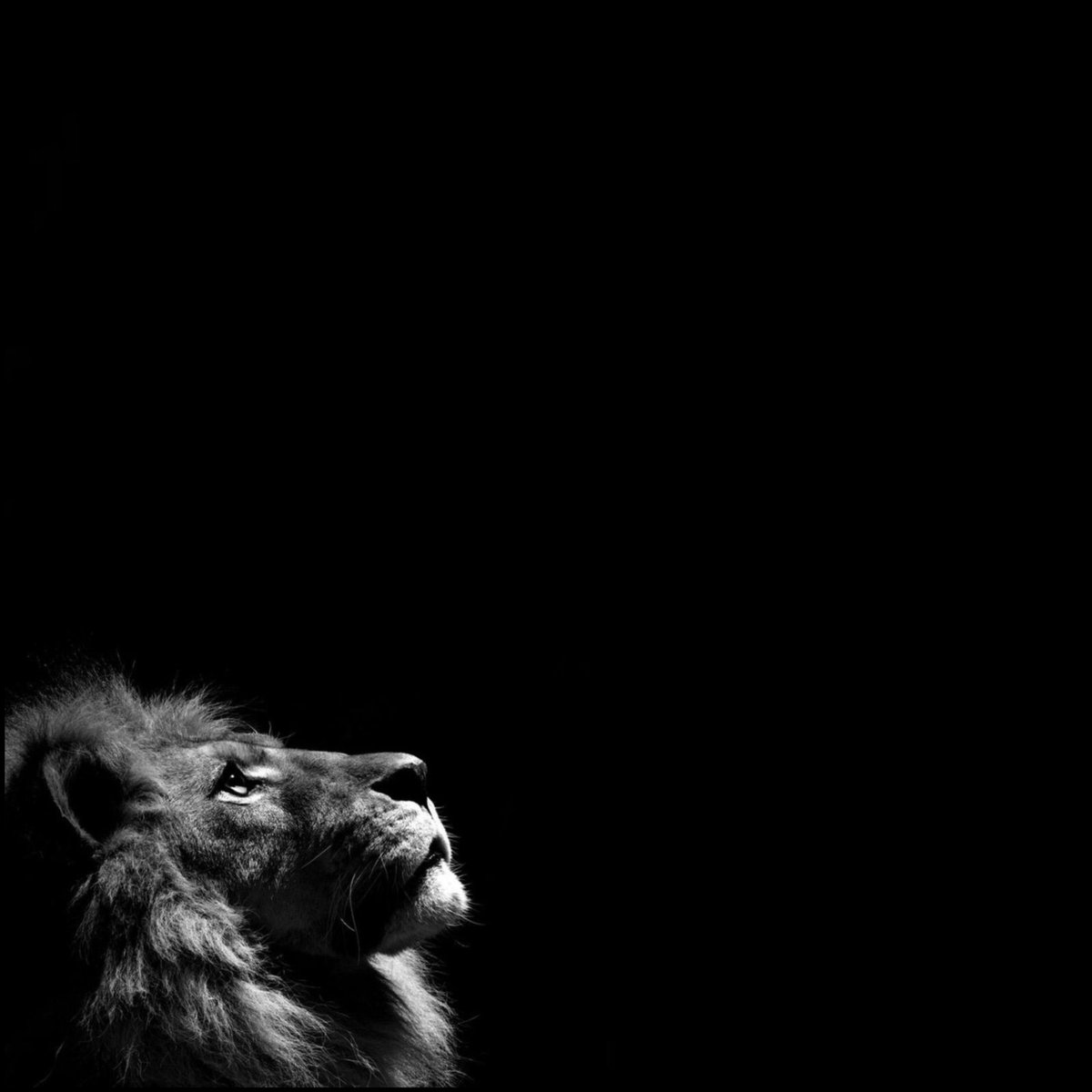 Man is morally responsible for his acts because man has the freedom to will good or evil &amp; the intelligence to know the difference. Abuse of power is a disease of our society. The time of tolerating this has passed. Enough is enough. 
#justiceforgeorgefloyd #rip
#blacklivesmatter