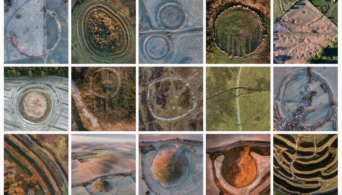 Prof Alice Roberts💙 tweet media