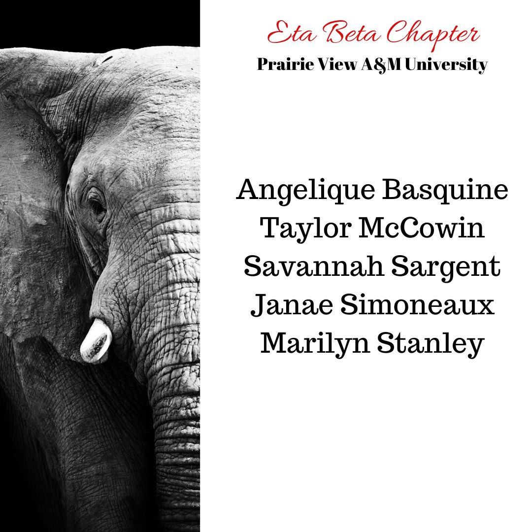 dst_HAC1913's tweet image. Congratulations 2020 Graduates near and far! We send special congratulations to local collegiate chapters at PVAMU (Eta Beta), TSU (Delta Gamma), &amp;amp;  U of H (Zeta Sigma). We wish you all the very best on this next chapter of your journey! #collegiateconnection #DST1913 #congraDST
