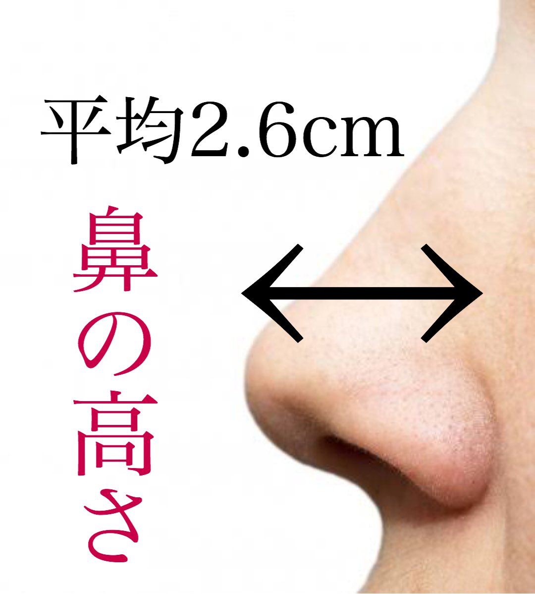 ダウンロード済み 鼻の高さ 平均 ただスタイリッシュな画像