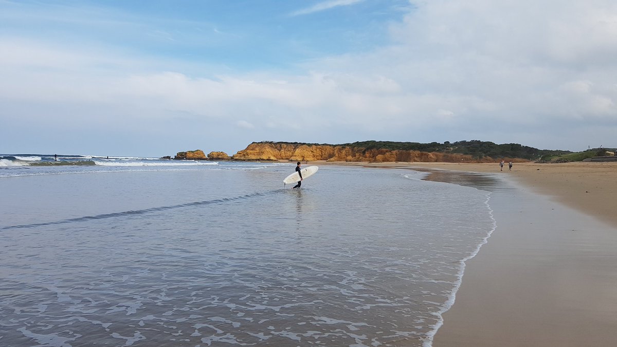 cavillsworth's tweet photo. @Melbourne As travel restrictions start to ease, I can’t wait to take @hurrayforcavill to @greatoceanroad! ☀️🌊🏄🏻‍♀️🐳🏖💛 https://t.co/32oU87rBZE