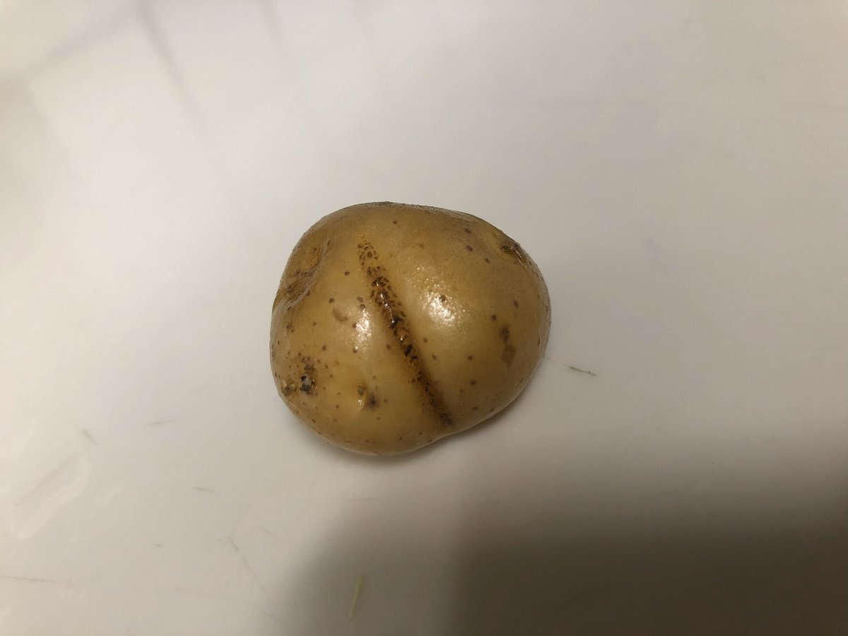 友人から面白い写真をもらったのでお裾分け 腕立て伏せをする大根だ 話題の画像プラス
