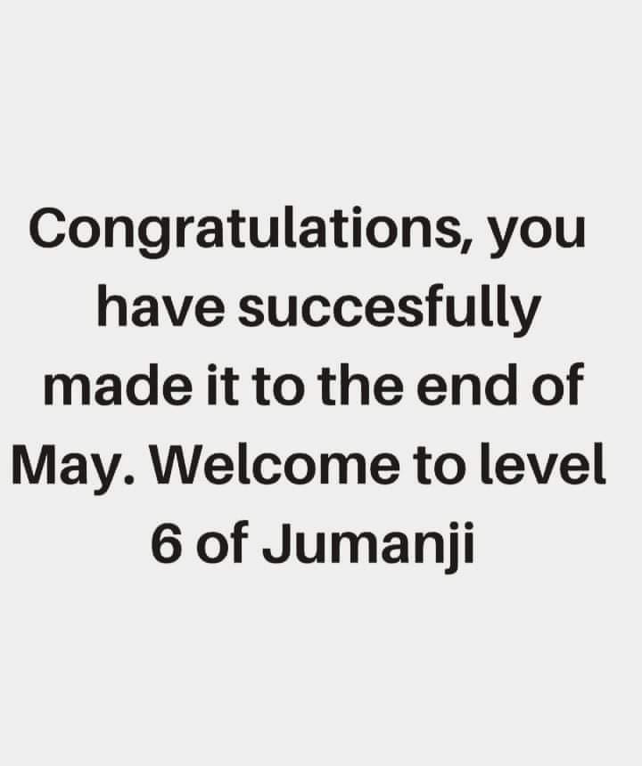 SquirrelonTO's tweet image. 