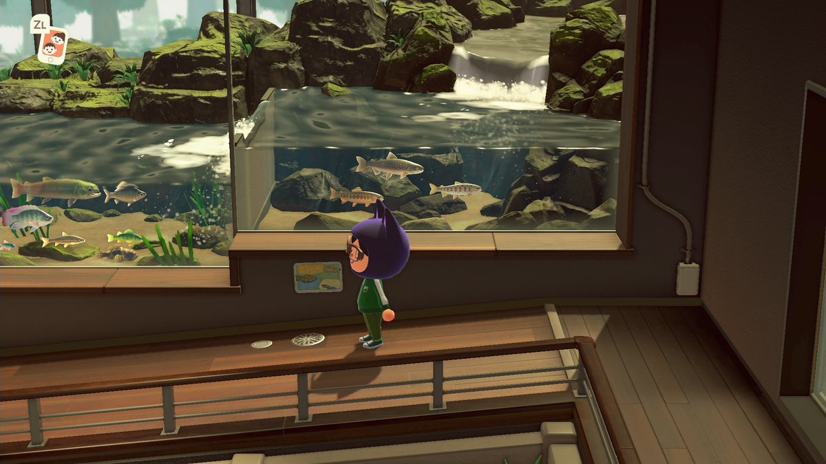 Ssdm Sur Twitter あつまれどうぶつの森 博物館の川魚コーナー 確か前はもっとのっぺりとした背景 だったよなあ アプデで変化したのか それとも魚が増えると背景が豪華になるのかな Ssdm Sur Twitter あつまれどうぶつの森 博物館の川魚コーナー 確か前はもっとのっぺりとした背景 だったよなあ アプデで変化したのか それとも魚が増えると背景が豪華になるのかな
