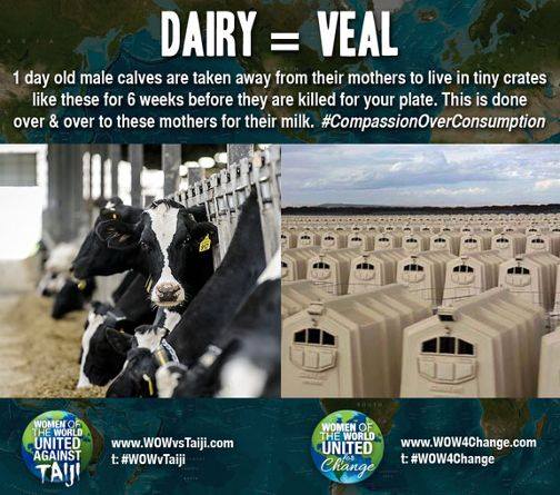 JeanJakz's tweet photo. @herbivore_club #DairyFree #AnimalWelfare #FYHealth Start NOW! https://t.co/XCkNkzHvFN