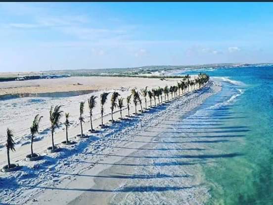 PlatformSomalia's tweet photo. @PlatformSomalia waxay qireysaa in dalka soo kabanaayo dhinac walba .
Stadium mogdisho waxuu wax badan ka badalayaa hab fakirka dhalinyarada . https://t.co/jgV3k79G1T
